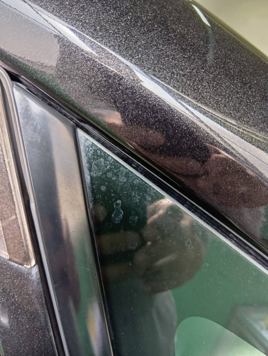 ガラスと塗装を守るプロのケアとは？